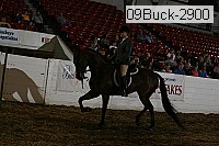 09buck-2900 proof