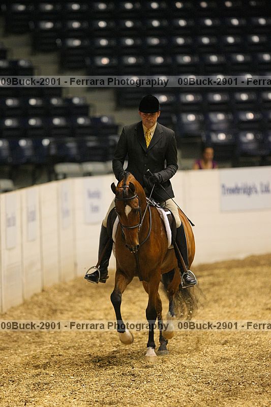 Proof 09buck-2901