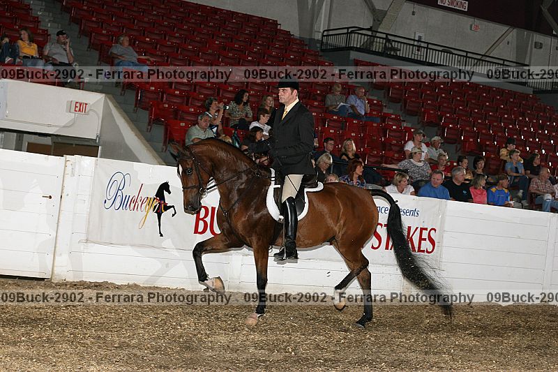 Proof 09buck-2902
