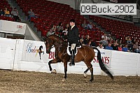 09buck-2902 proof