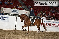 09buck-2903 proof