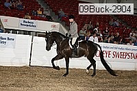 09buck-2904 proof