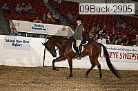 09buck-2905 proof