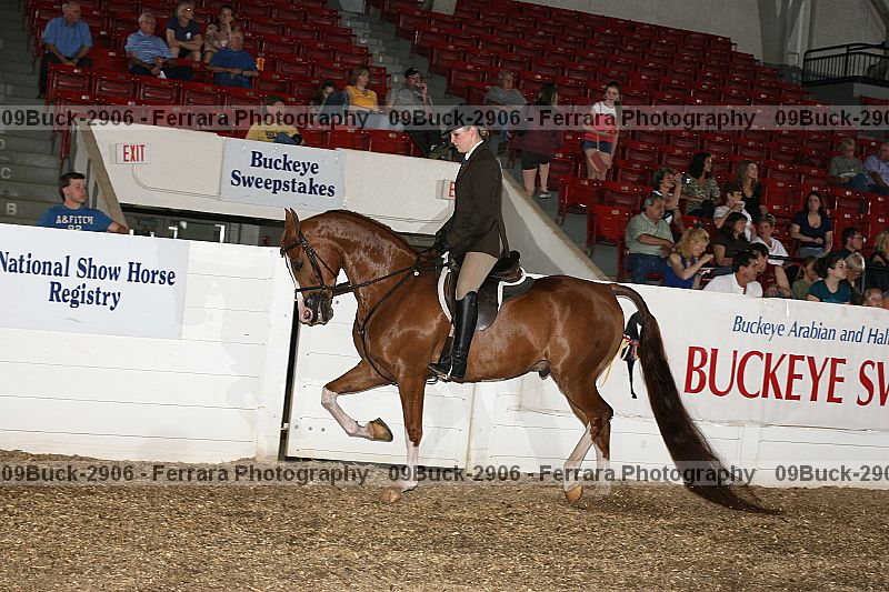 Proof 09buck-2906