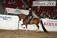09buck-2906 proof