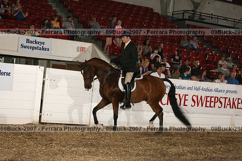 Proof 09buck-2907
