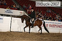 09buck-2907 proof