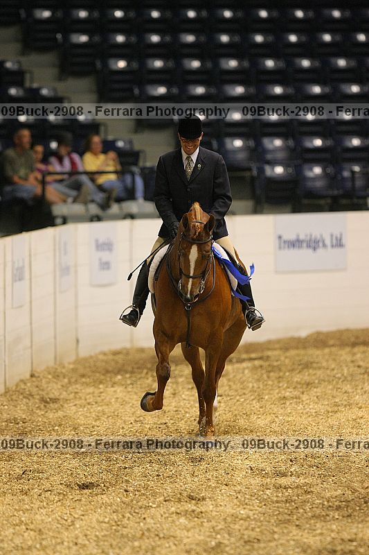 Proof 09buck-2908