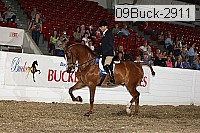 09buck-2911 proof
