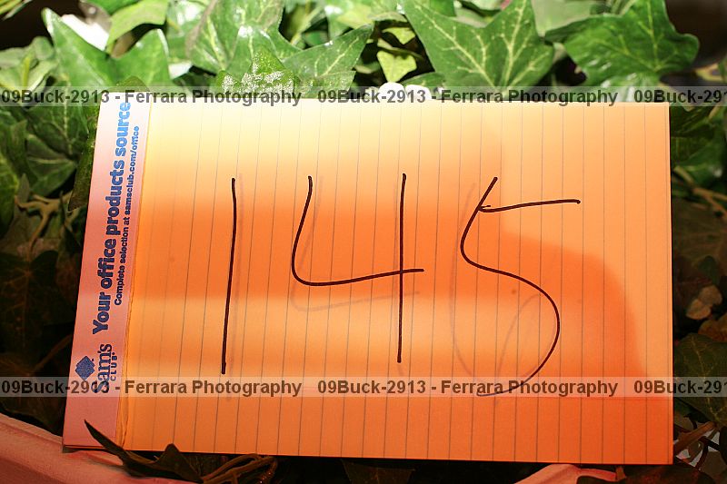 Proof 09buck-2913