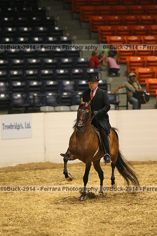 Proof 09buck-2914