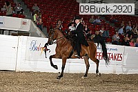 09buck-2920 proof