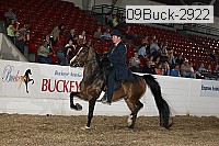 09buck-2922 proof