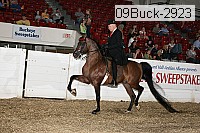 09buck-2923 proof