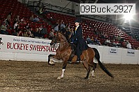 09buck-2927 proof