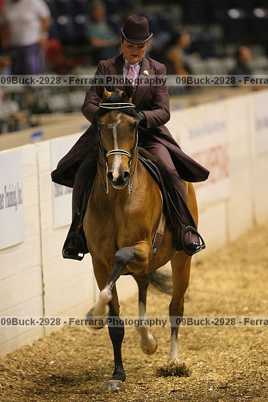 Proof 09buck-2928