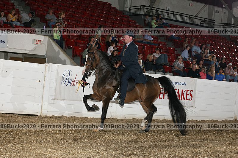 Proof 09buck-2929