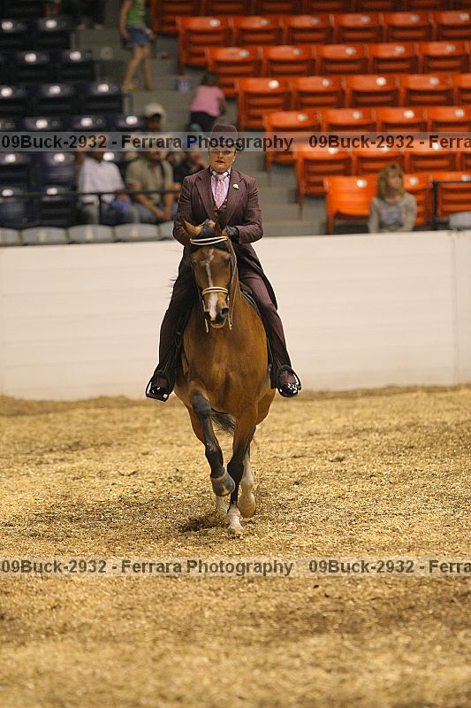 Proof 09buck-2932