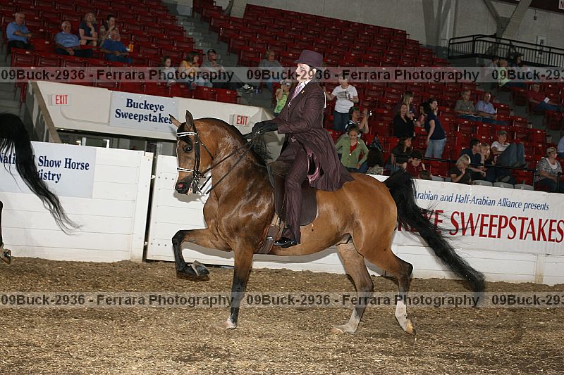 Proof 09buck-2936
