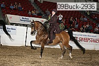 09buck-2936 proof
