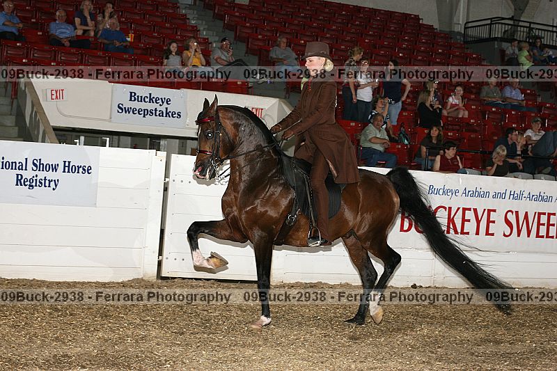 Proof 09buck-2938