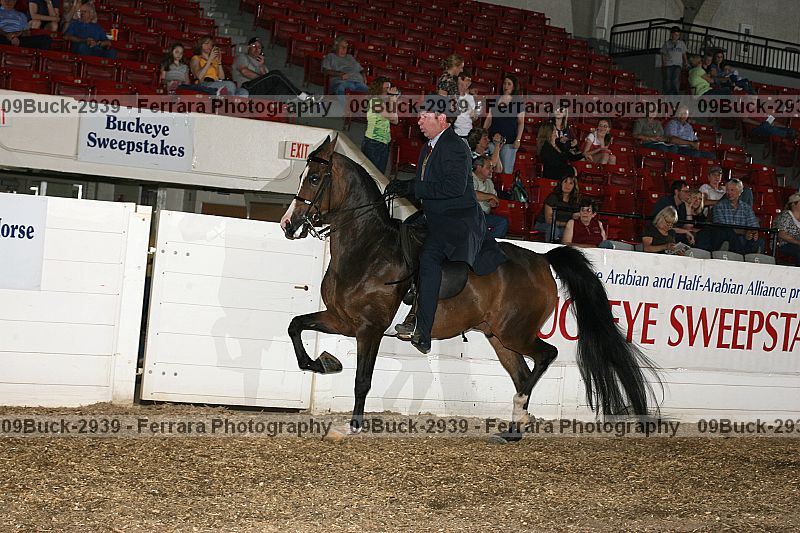 Proof 09buck-2939