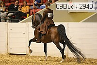 09buck-2940 proof