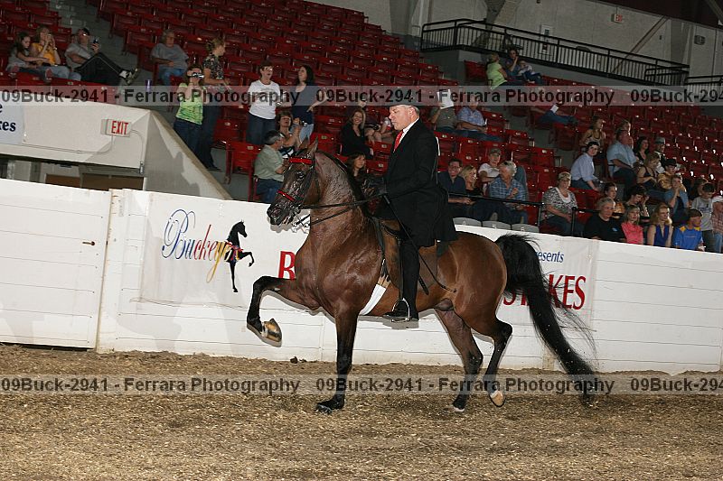 Proof 09buck-2941