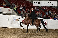 09buck-2941 proof