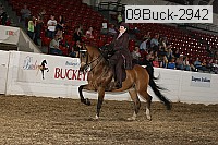 09buck-2942 proof