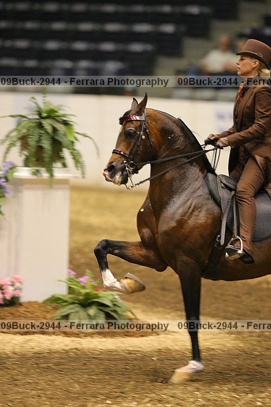 Proof 09buck-2944