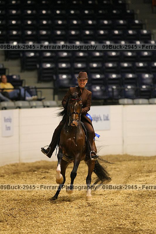 Proof 09buck-2945