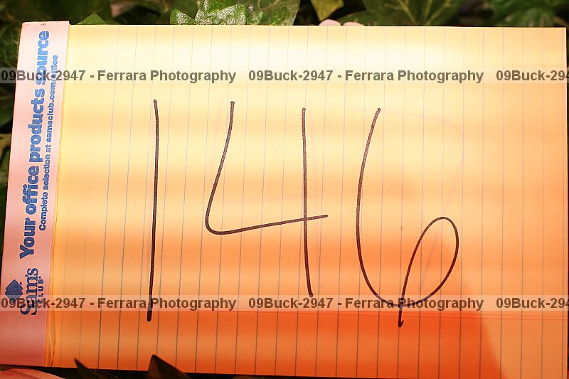 Proof 09buck-2947