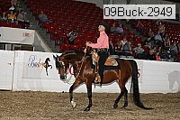 09buck-2949 proof
