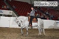 09buck-2950 proof