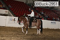 09buck-2951 proof