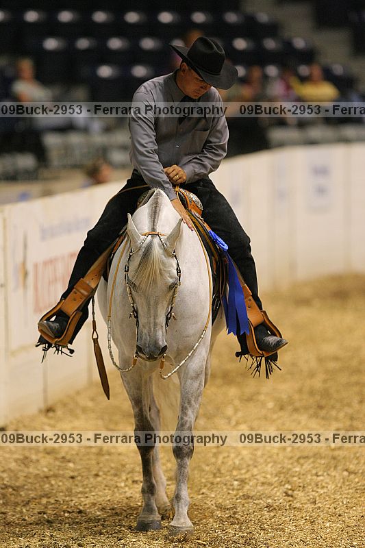 Proof 09buck-2953