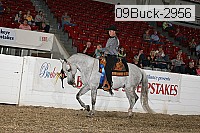 09buck-2956 proof