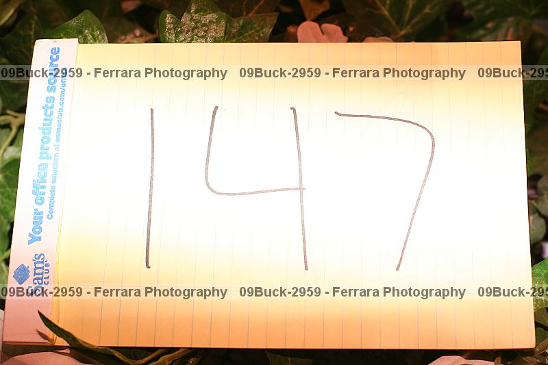 Proof 09buck-2959