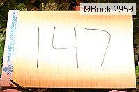 09buck-2959 proof