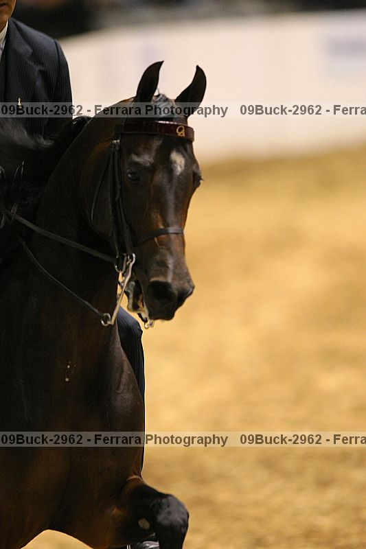 Proof 09buck-2962