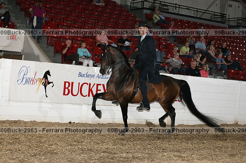 Proof 09buck-2963
