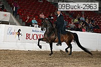 09buck-2963 proof