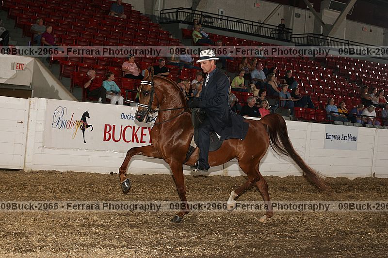 Proof 09buck-2966