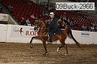 09buck-2966 proof