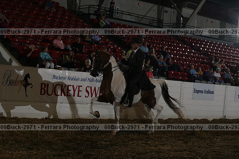 Proof 09buck-2971