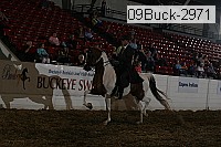 09buck-2971 proof