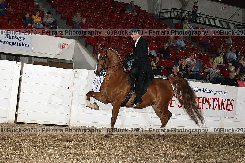 Proof 09buck-2973