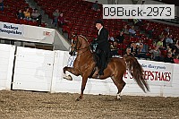09buck-2973 proof