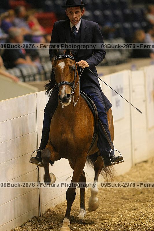 Proof 09buck-2976
